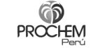 Grupo-Prochen-S.A.C..jpg